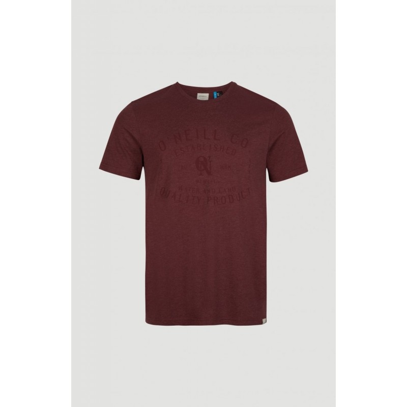 T-Shirt Established O'NEILL