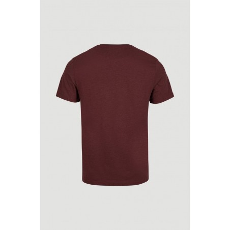 T-Shirt Established O'NEILL
